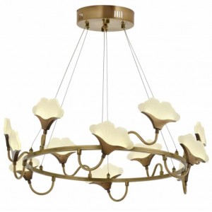 METAL LED and PLEXIGLAS ANTIQUE COLOR COATING CHANDELIER 75 CM DIAMETER LOAD: 70 CM